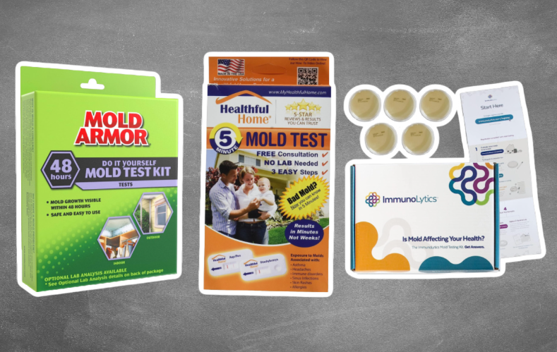 The Best At-Home Mold Test Kits in 2026: Expert Reviews and Buyer’s Guide