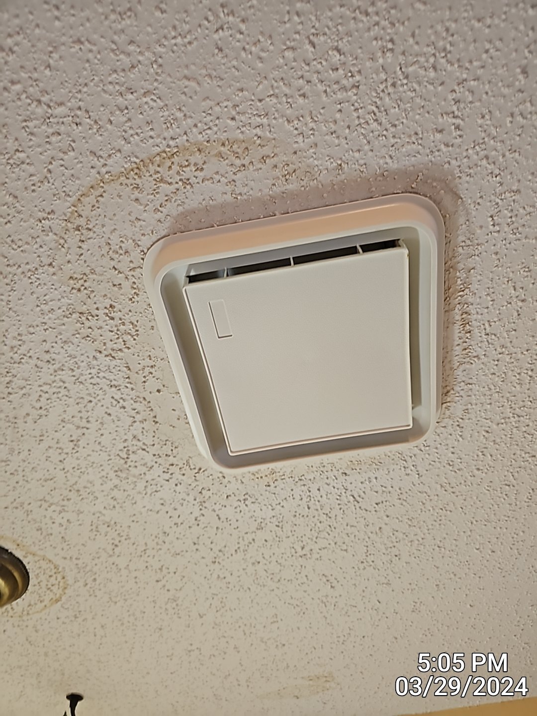 mold_behind drywall